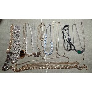 Costume Jewelry Lot 14 Necklaces And 2 Bracelets